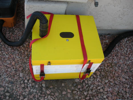 Bee vac!
