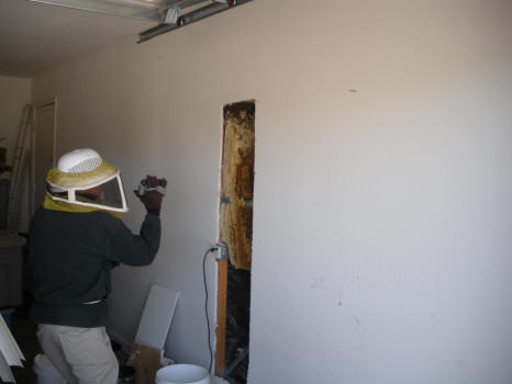 Home owner checking out bee hive.